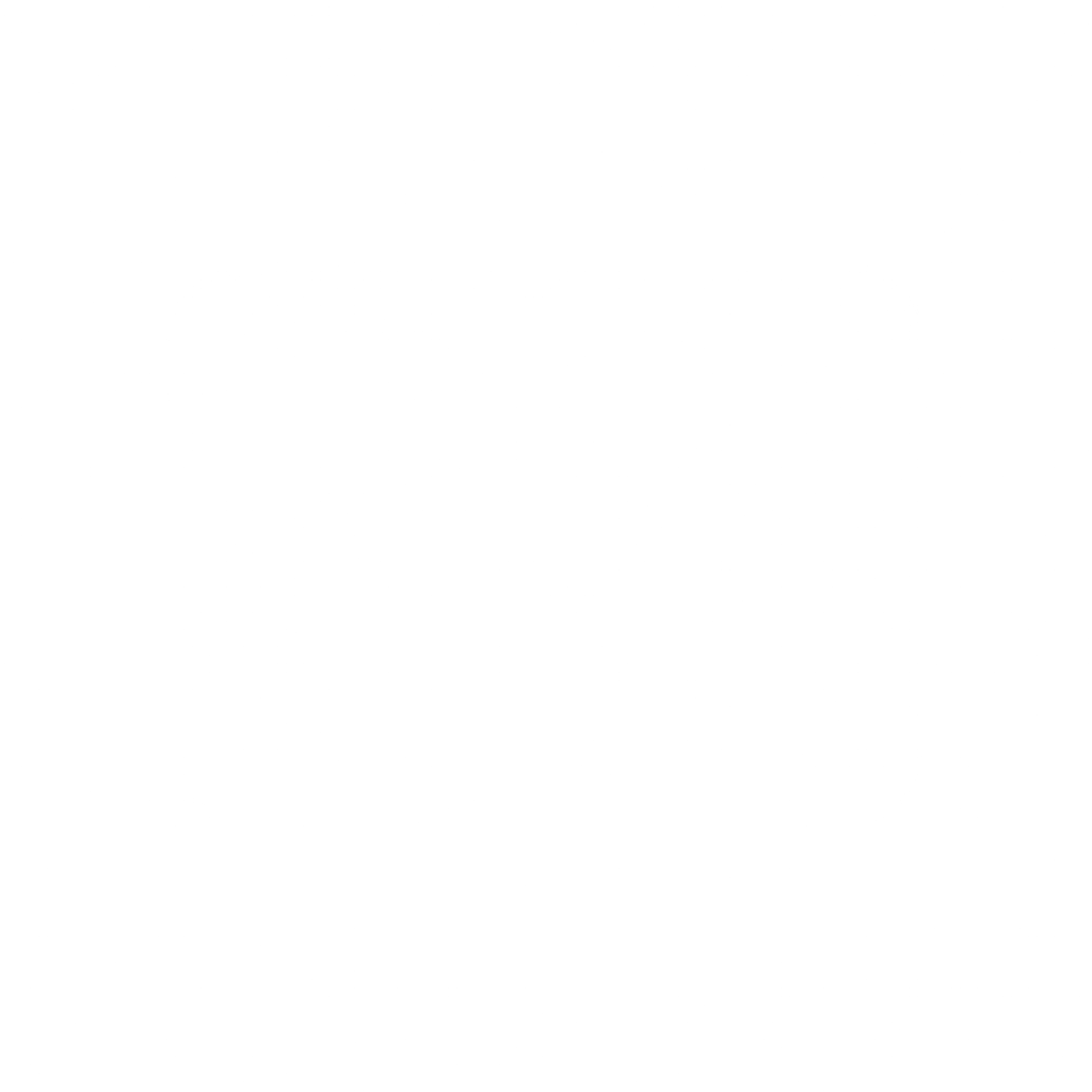 Visa / Mastercard icon